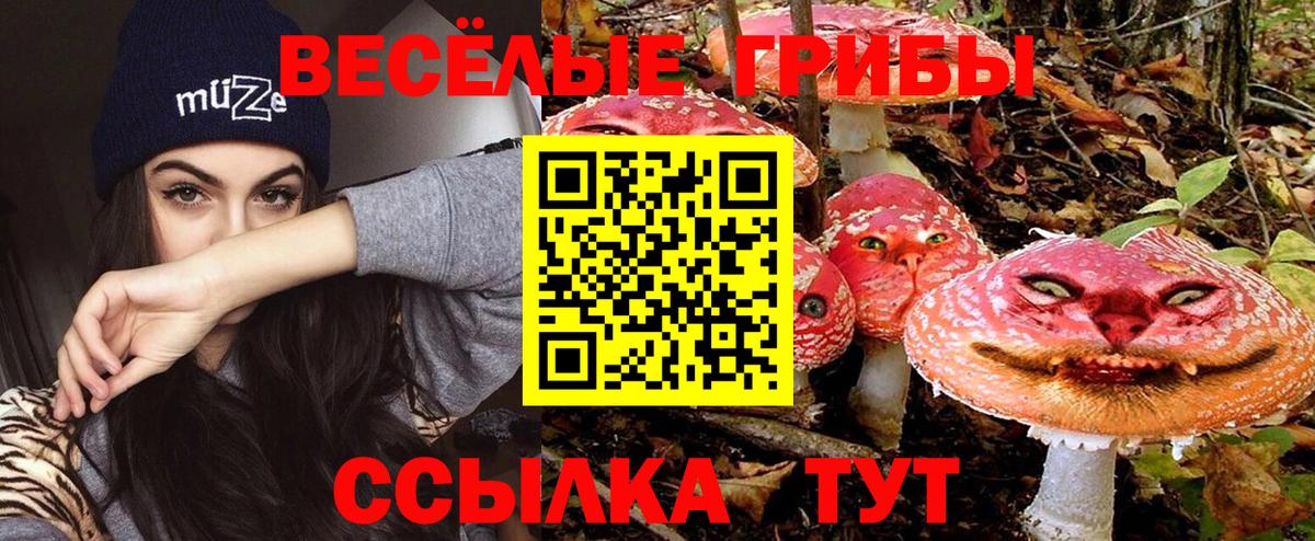 Псилоцибиновые грибы Cubensis  Вход с VPN  Гусь-Хрустальный 