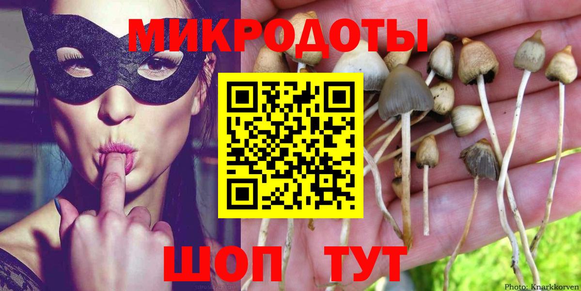 Галлюциногенные грибы Cubensis Гусь-Хрустальный